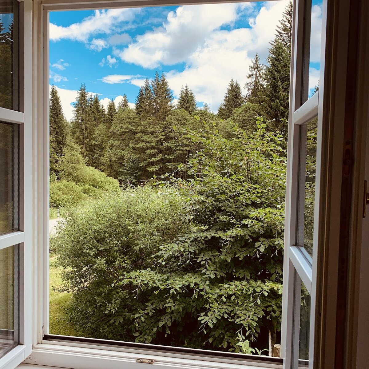 Pobyt v celnici na Šumavě